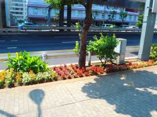 東京ふれあいロード・プログラムイメージ画像