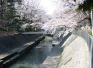 概要イメージ写真 別ウィンドウで表示します