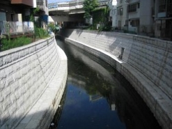 狸橋付近の写真