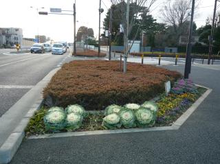 東京ふれあいロード・プログラム 活動事例