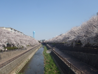 水辺に親しめる暖傾斜護岸
