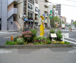 東京ふれあいロード・プログラムの写真２