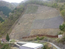 檜原村藤原地区の写真