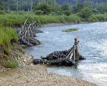 聖牛工（秋川）の写真