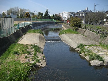 写真（黒目川）