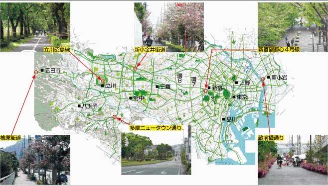 主なグリーンロード・ネットワーク　立川昭島線　新小金井街道　新宿副都心4号線　槍原街道　多摩ニュータウン通り　蔵前橋通り