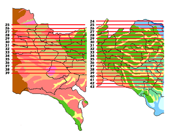 箇所別地質断面図　中央部