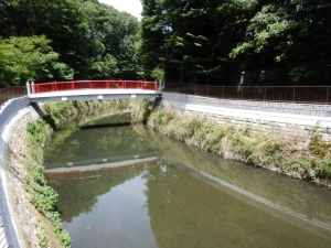 完了写真（八幡橋下流）