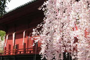 上野恩賜公園の画像
