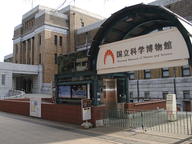 国立科学博物館の画像