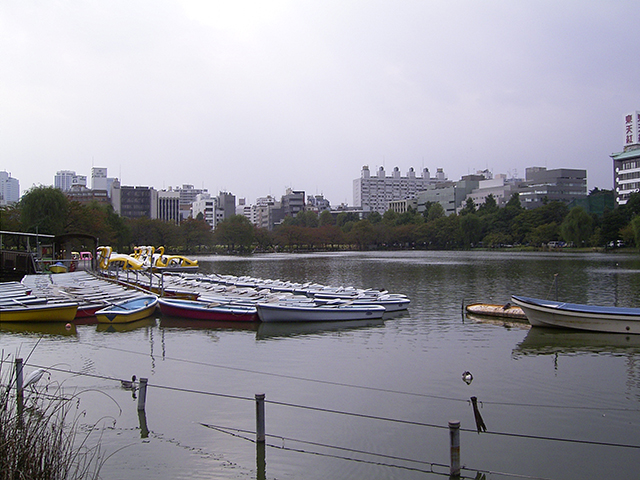 不忍池ボート場の画像