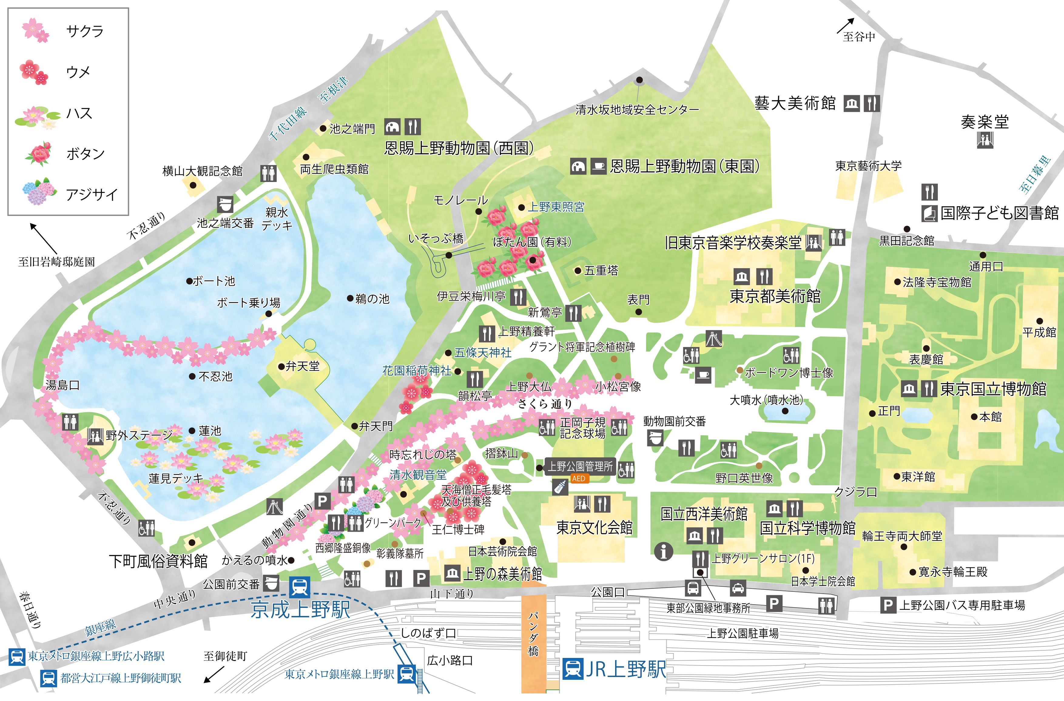 植物のマップの画像