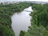 井の頭池の画像