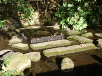 お茶の水の画像