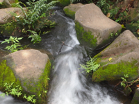 神田川起点の画像