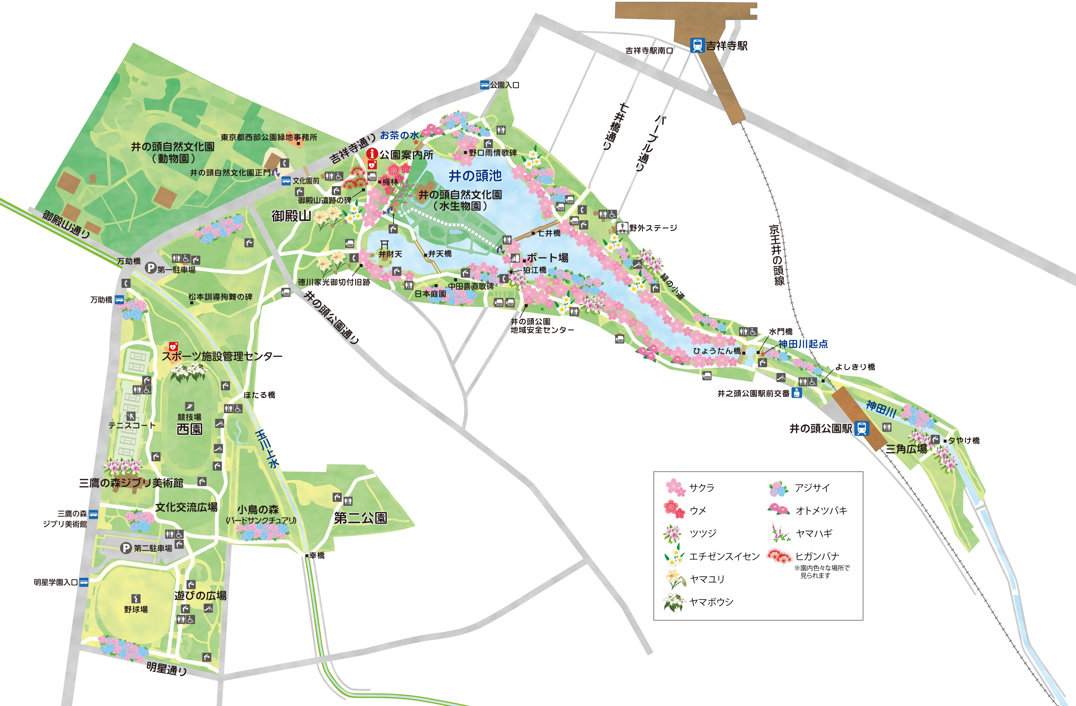 植物のマップの画像