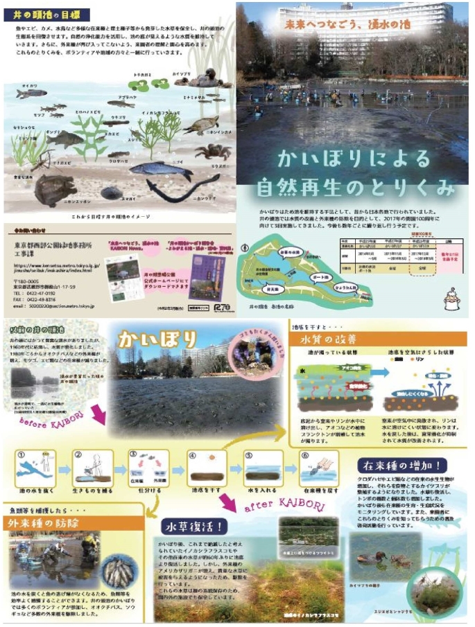 かいぼりによる自然再生のとりくみの画像