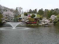 井の頭弁財天の画像