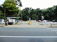 第一駐車場の画像