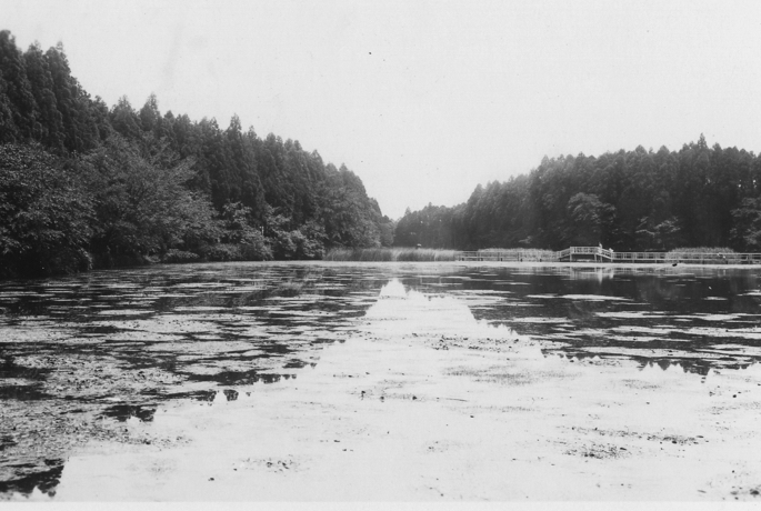 井の頭恩賜公園の画像