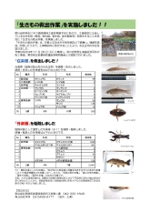 生きもの救出作戦の概要 別ウィンドウで表示します