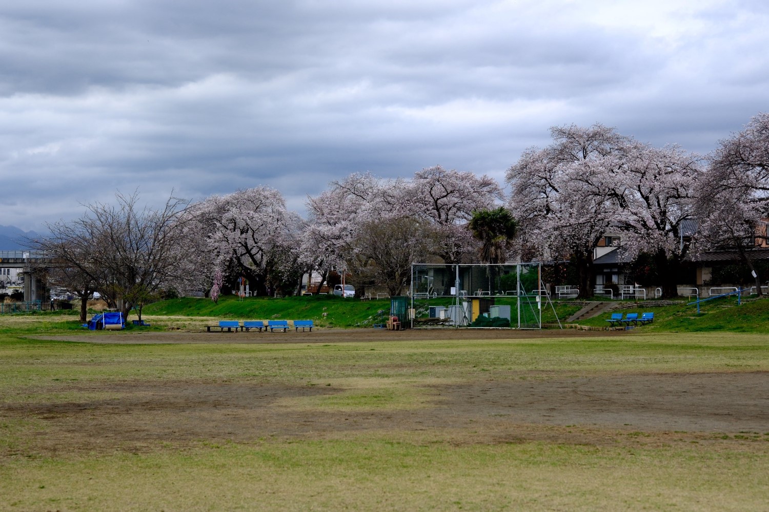 南浅川合流点付近　左岸