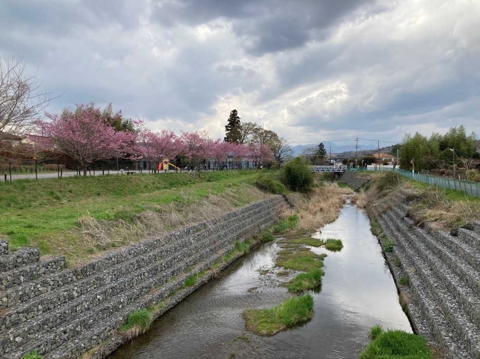 川口川　復旧後の写真