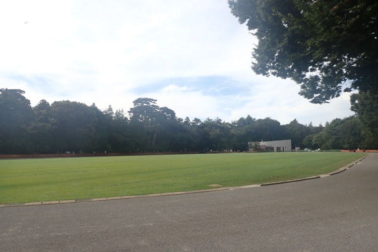 陸上競技場の写真