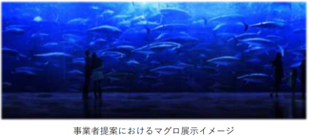 事業者提案におけるマグロ展示イメージ