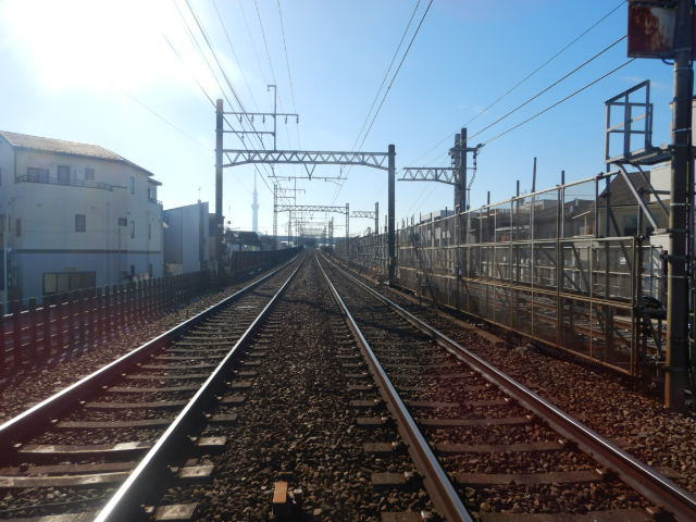 令和６年１月撮影