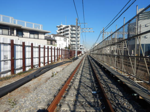 令和６年１月撮影