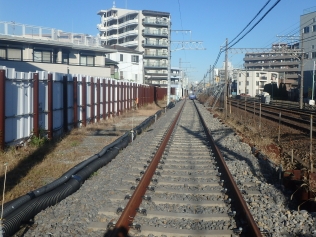 令和５年１月撮影