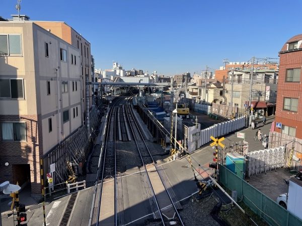 令和６年１月撮影