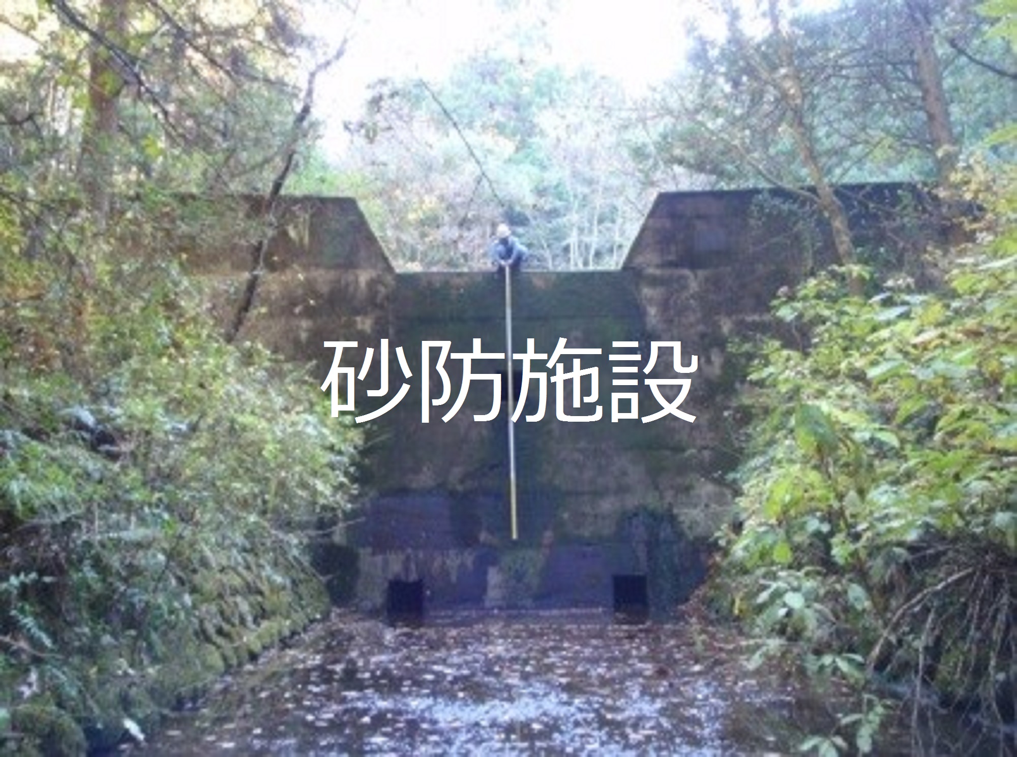 別ウィンドウで表示します