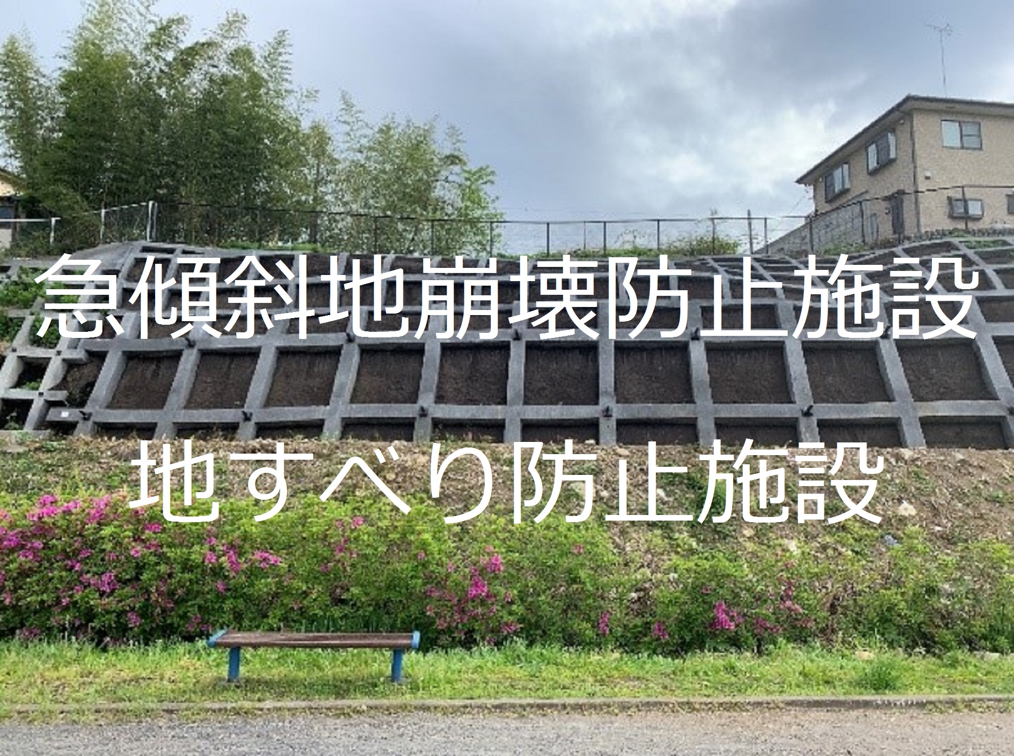 別ウィンドウで表示します