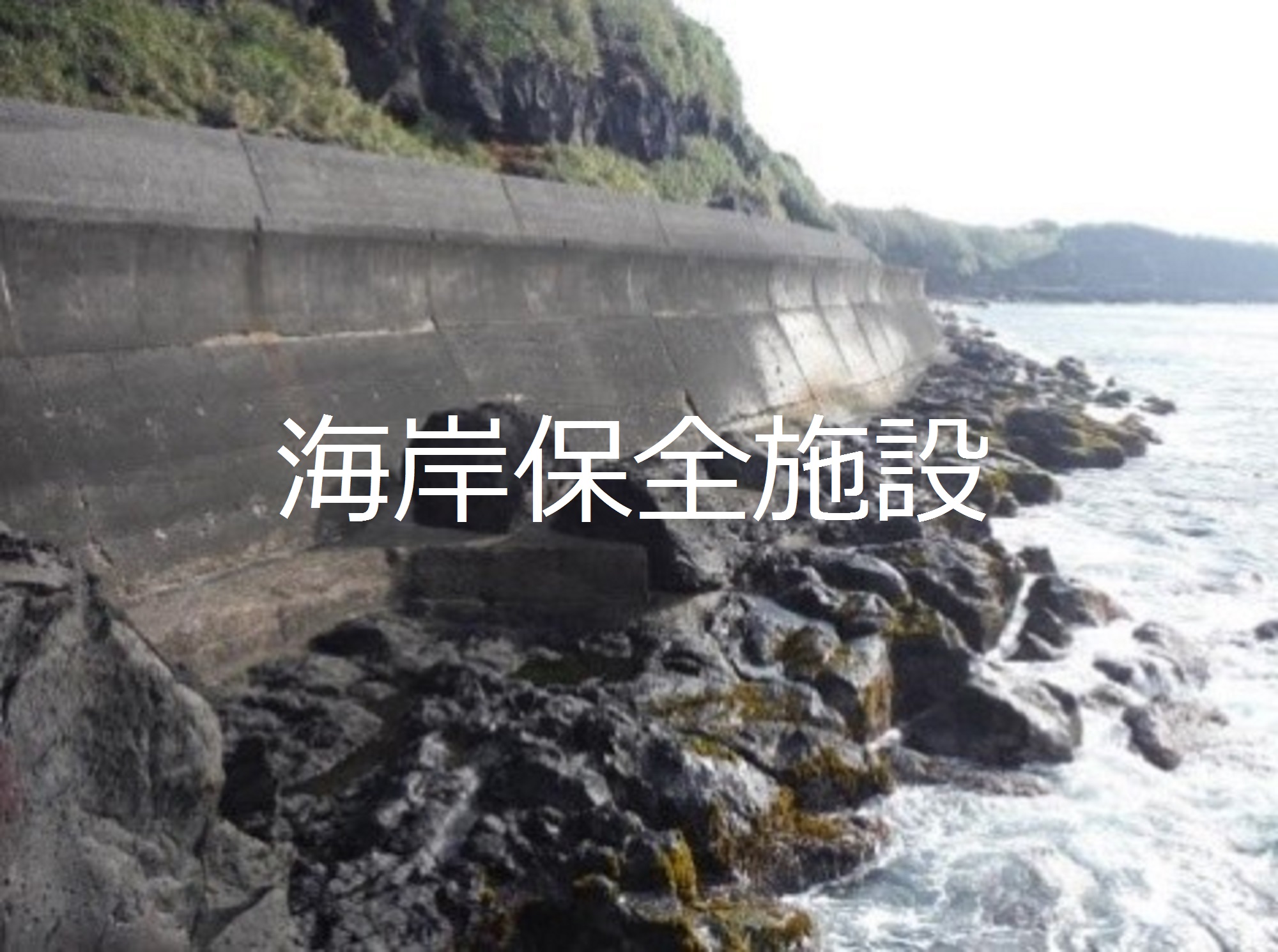 別ウィンドウで表示します