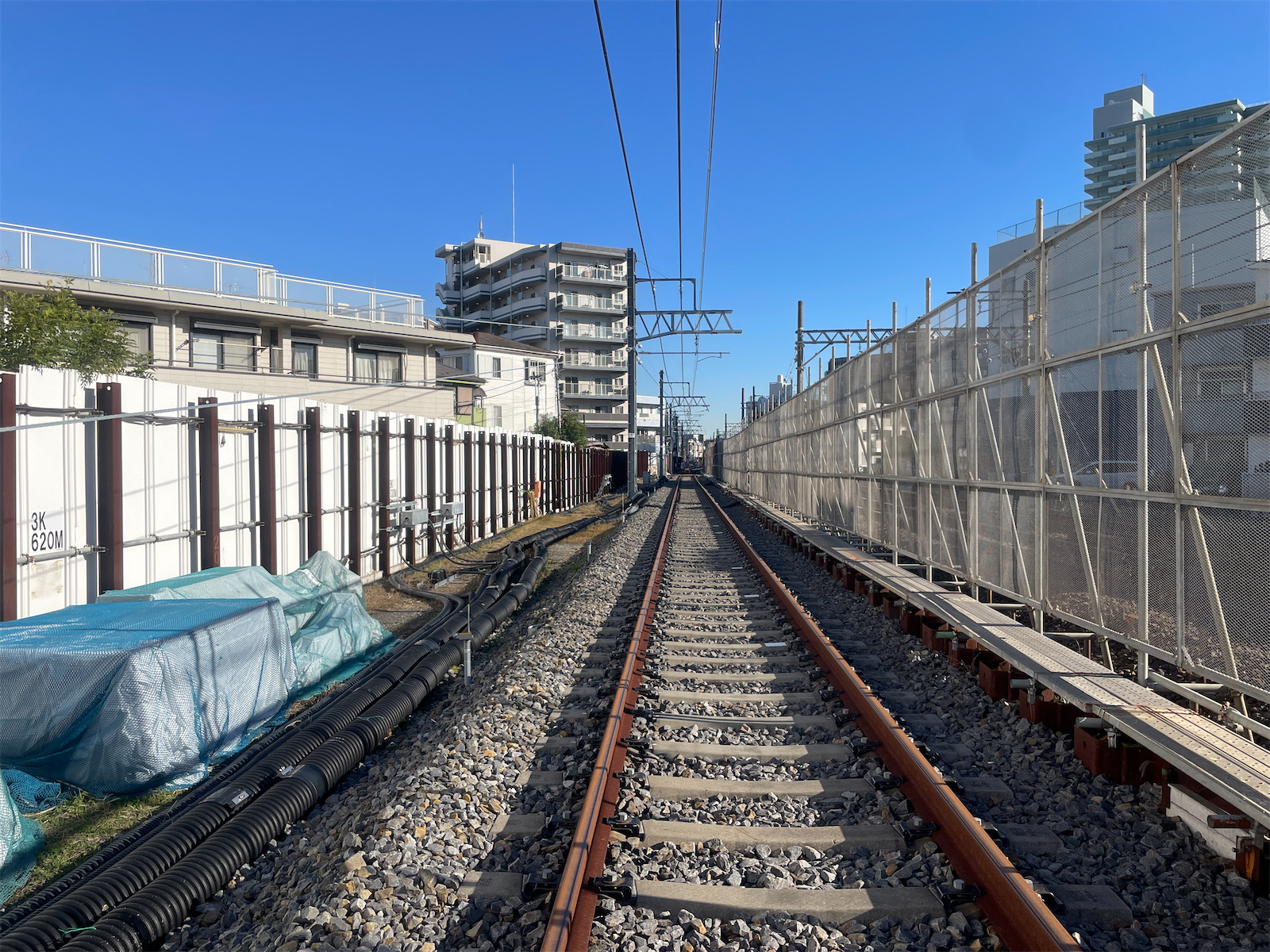 令和６年１月撮影