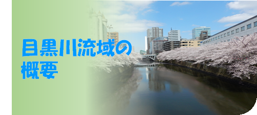 目黒川流域の概要